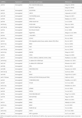 Noncoding RNAs: an emerging modulator of drug resistance in pancreatic cancer